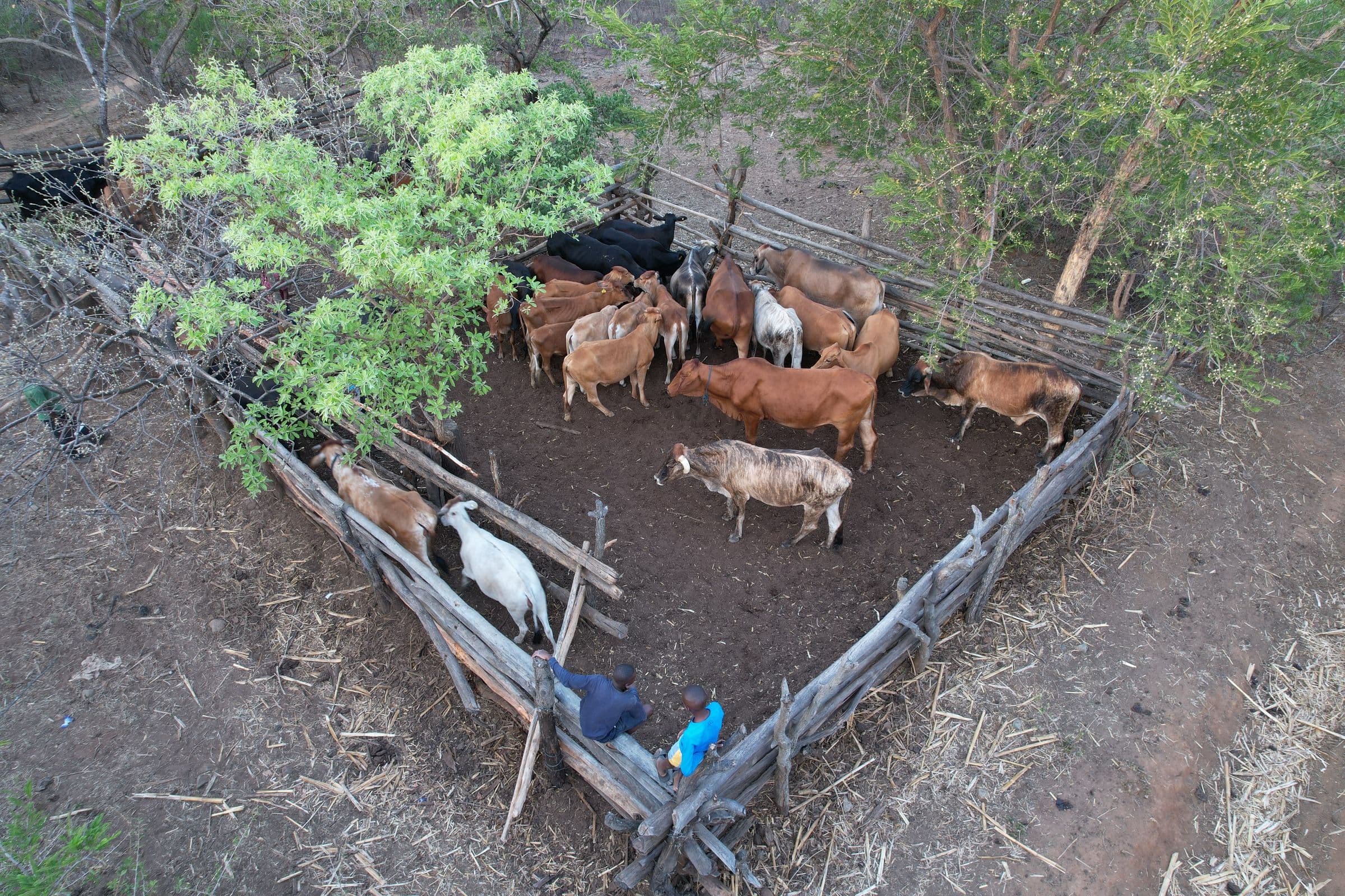 The farm at dusk from above, Nyanga