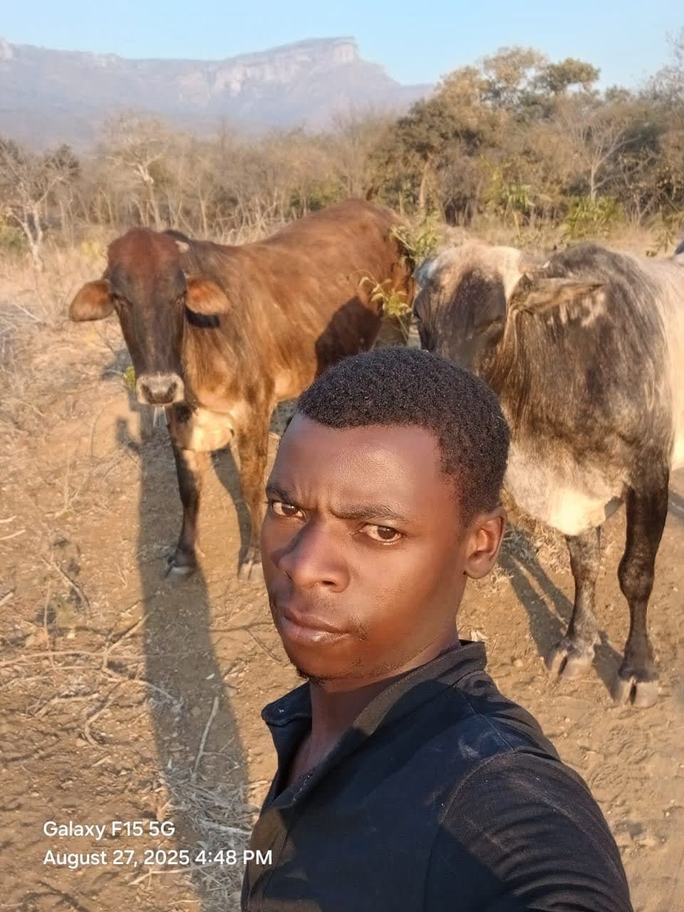 Tawanda